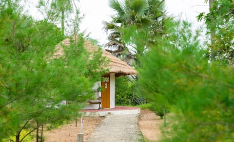 Day, Garden, Photo of the whole room, On site, Garden view