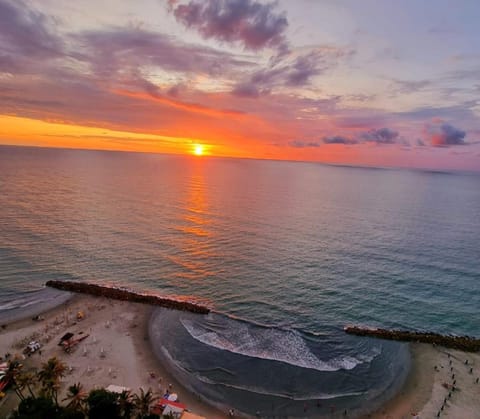 Beach, Sea view, Sea view, Sunset