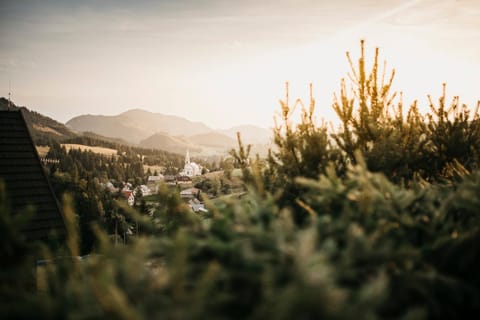 Neighbourhood, Natural landscape, Mountain view