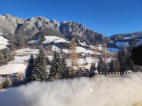 Winter, View (from property/room)