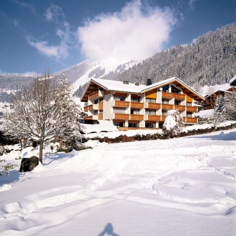 Hôtel Macchi Restaurant & Spa Hotel in Châtel