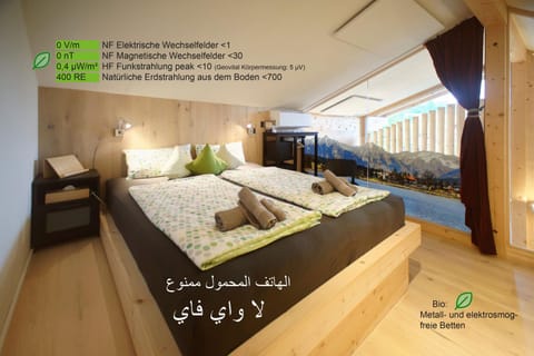 Bed, Bedroom, Mountain view, internet