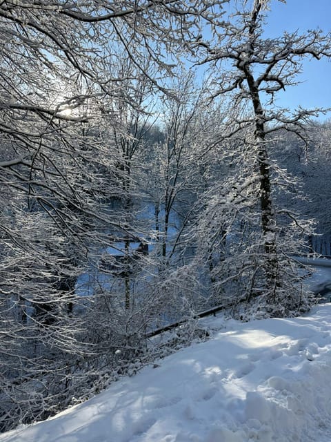 Natural landscape, Winter