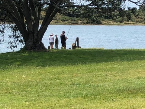 Natural landscape, Sea view, group of guests