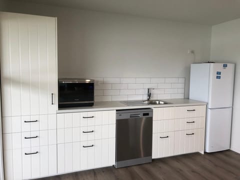 Kitchen or kitchenette, dishwasher, oven