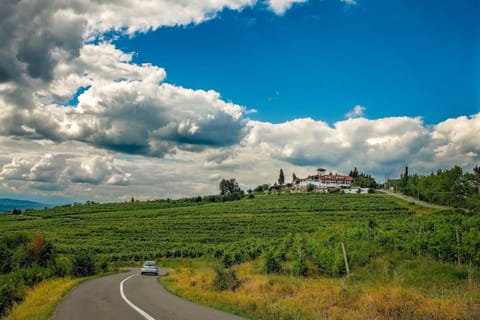 Property building, Natural landscape