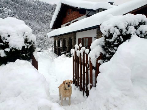 Casa Clef Apartment in Aprica