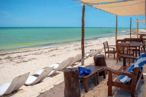 Natural landscape, Beach, Sea view, sunbed