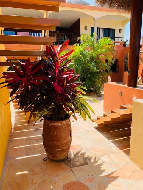 Villa La Joya Bed and Breakfast in Barra de Navidad