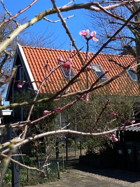 het zwaluwnest Apartamento in Koudekerke