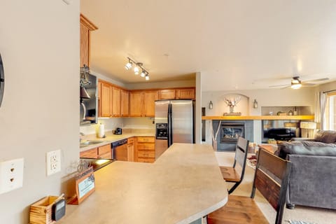 Skiscape Apartment in Steamboat Springs