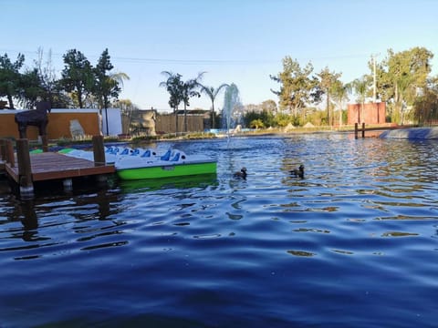 Restaurant/places to eat, Lake view