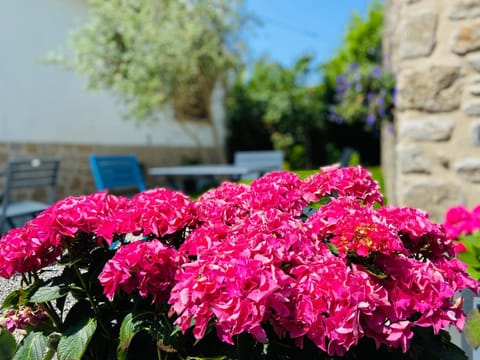 Garden, Garden view