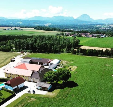 Vogelhubergut - Familie Scherleithner Farm Stay in Salzburgerland