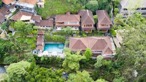Ani's Villas Villa in Payangan