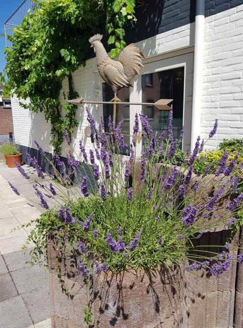 Hotel-Cafe Knoors-Meeks Stein Urmond Hôtel in Dilsen-Stokkem