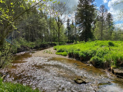 Fishing, Hiking, Cycling