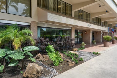 Property building, Day, Garden