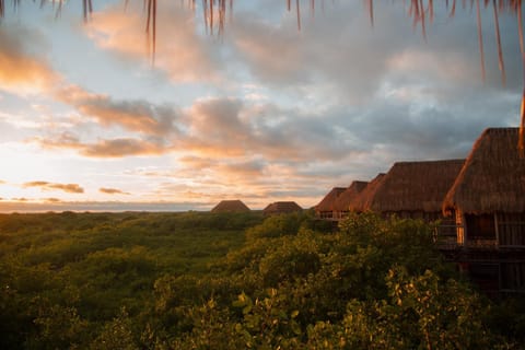 Day, Natural landscape, Sunset