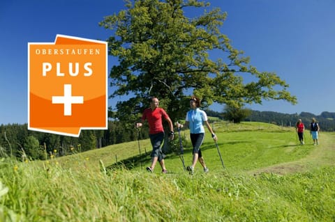 Chalet Ifen am Hochgrat Apartment in Oberstaufen