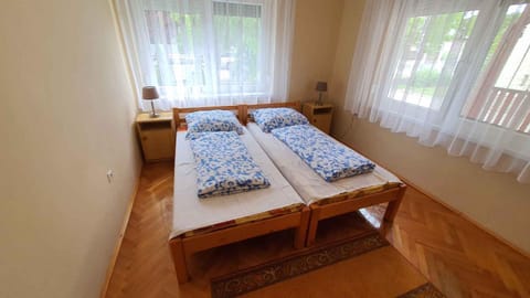 Holiday home in Siofok/Balaton 37218 House in Siófok