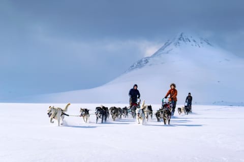 People, Natural landscape, Winter, group of guests