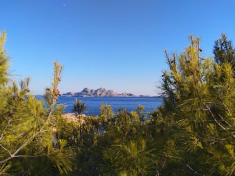 Beach, Hiking