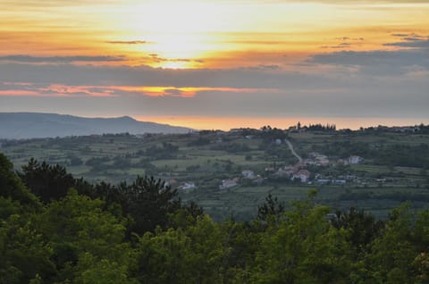 Guesthouse Green Istria Bed and Breakfast in Istria County