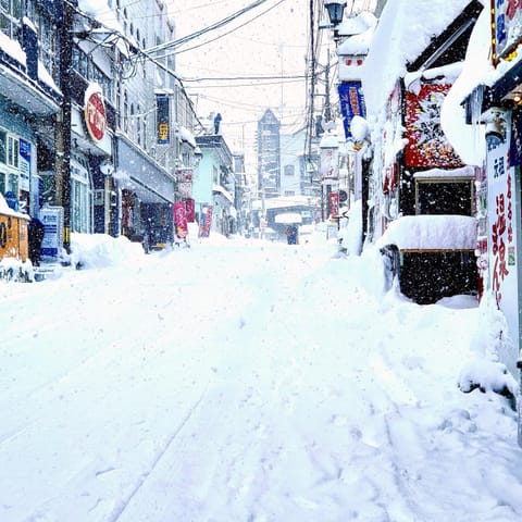 Kitsune Lodge Myoko Japan Bed and Breakfast in Nagano Prefecture