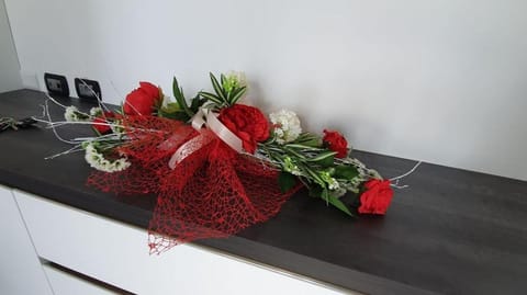 Apartment Panorama Apartment in Colico