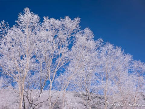 Off site, Natural landscape, Winter