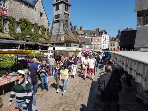 La Petite Parenthèse Apartment in Honfleur