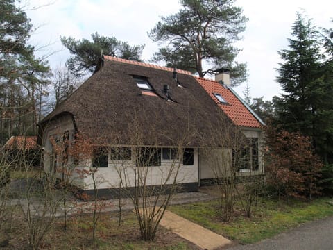 De Witte Bergen 84 Villa in Drenthe (province)