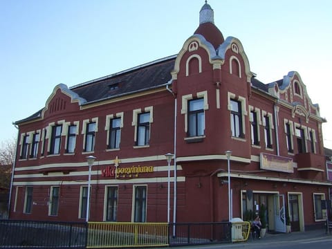 VILA Corviniana Hotel in Serbia