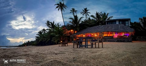 The Alpha Monkey hotel & Tree house Hotel in Tangalle