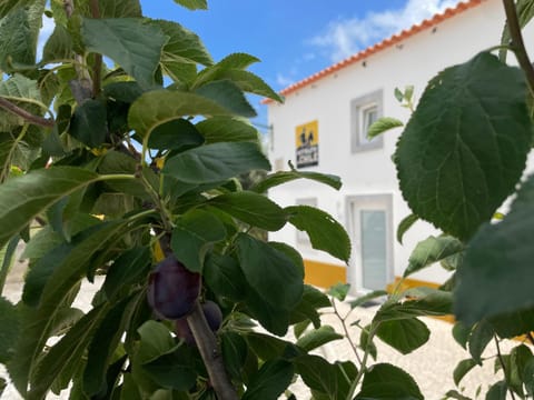 adubai Obidos House in Óbidos