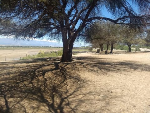 Natural landscape, Beach