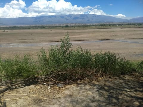 Natural landscape, River view