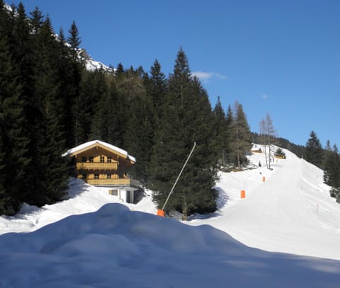 Natural landscape, Winter, Skiing