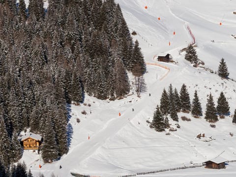 Natural landscape, Bird's eye view, Winter, Skiing