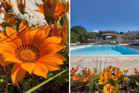 Résidence Villa Romana avec spa Apartment hotel in Propriano