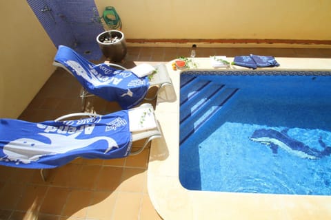 Pool view, Swimming pool