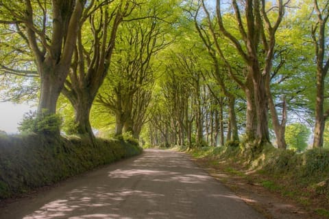 Knole Farm Bed and Breakfast in West Devon District