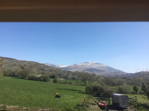 Tyddyn Perthi Farm Farm Stay in Wales