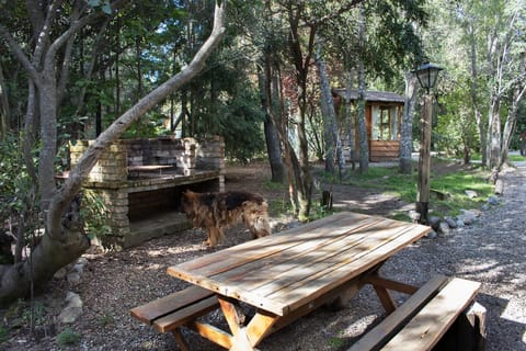 Patagonia Sin Fronteras Nature lodge in San Carlos Bariloche