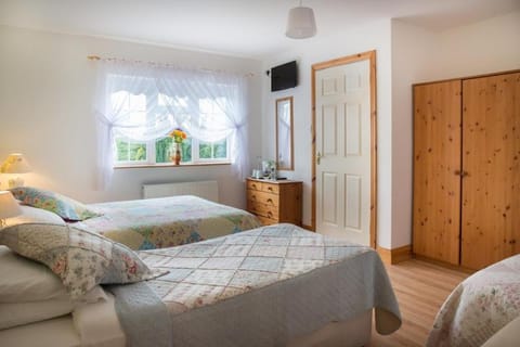 Shannon Breeze B&B Bed and Breakfast in County Clare