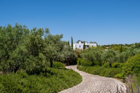 Property building, Garden, Garden view, Parking