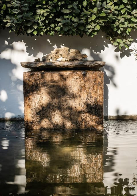 Garden, Decorative detail