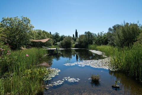 Natural landscape, Garden, Seating area, On site, Garden view, Lake view, Swimming pool