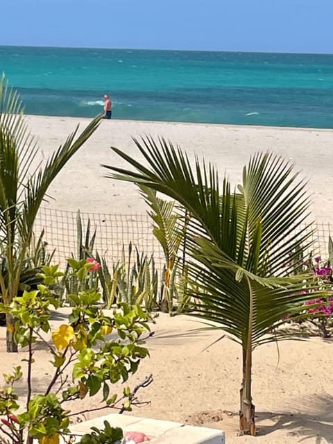 Villa Alfredo Marchetti Nº13 A Suites on the Beach, Praia de Chaves, Boa Vista Alojamiento y desayuno in Cape Verde